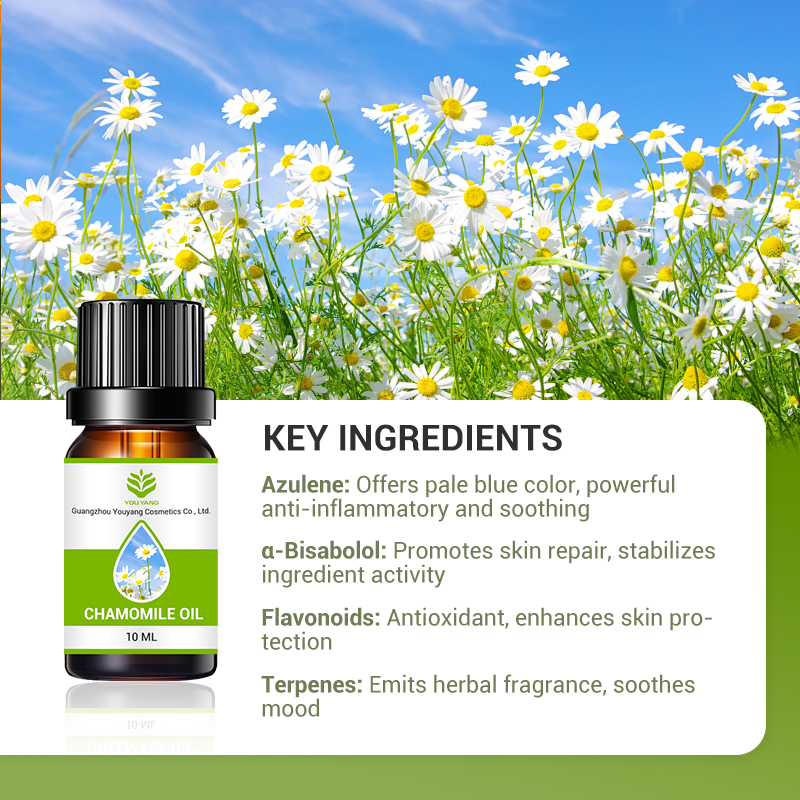 OEM Chamomile Essential Oil – 100% Natural Steam Distilled | Private Label for Sensitive Skincare, Sleep Support & Calming Blends - Image 3