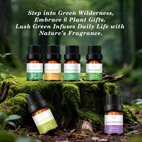 OEM Wizard of Oz Essential Oil Blend – Forest & Meadow Aromatherapy for Grounding, Clarity & Stress Relief | Private Label Nature-Inspired Blend