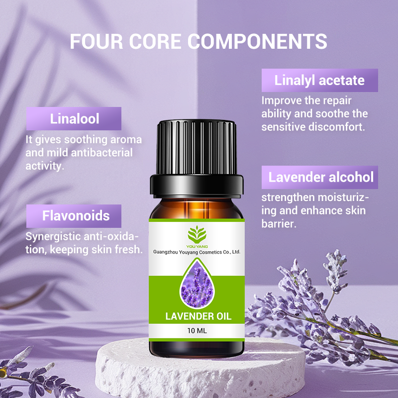 OEM French Lavender Essential Oil – 100% Natural Steam Distilled | Private Label for Premium Sleep, Calming Skincare & Stress Relief - Image 3