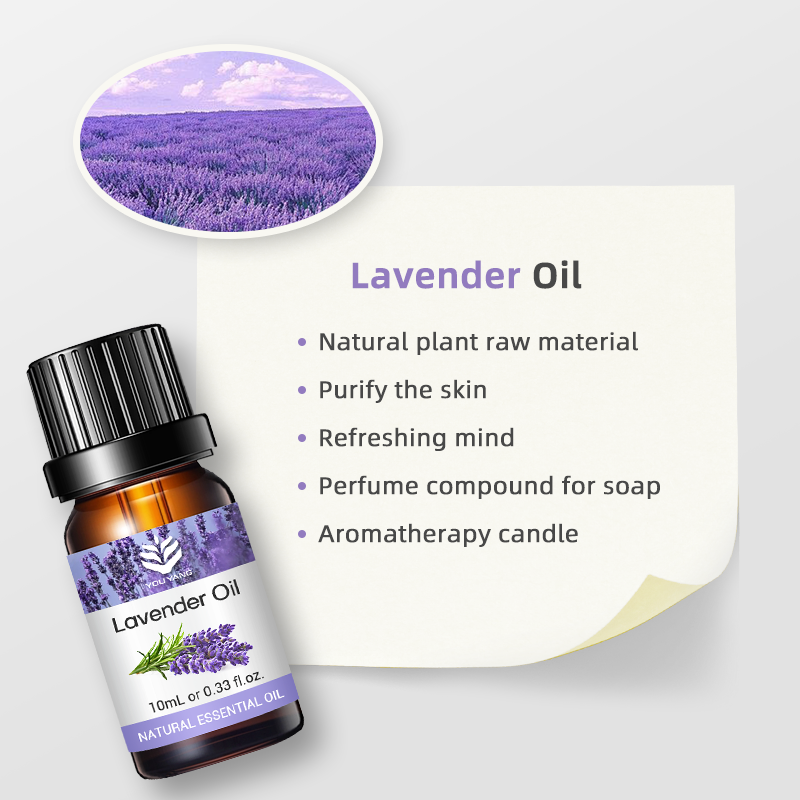 OEM Lavender Essential Oil – 100% Natural Steam Distilled | Private Label for Sleep Support, Burn Relief & Calming Skincare - Image 2