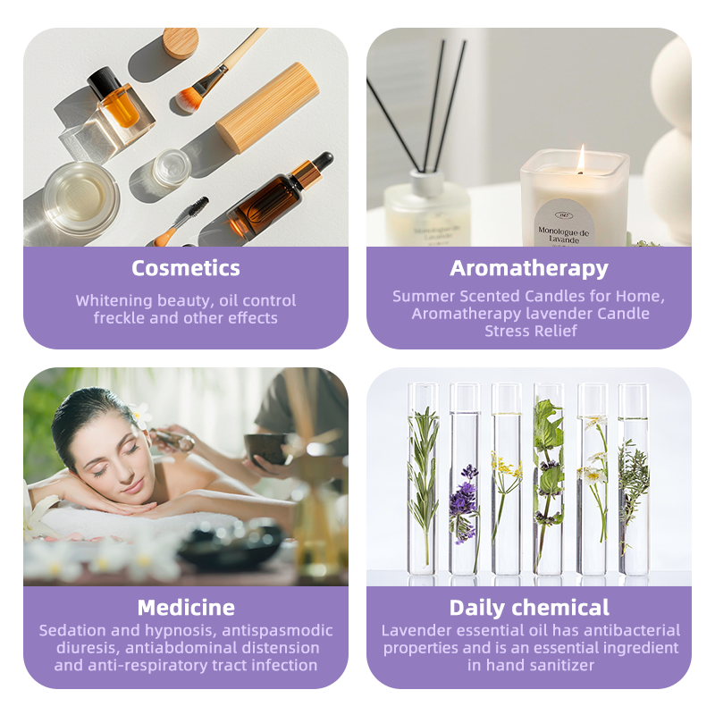OEM Lavender Essential Oil – 100% Natural Steam Distilled | Private Label for Sleep Support, Burn Relief & Calming Skincare - Image 3