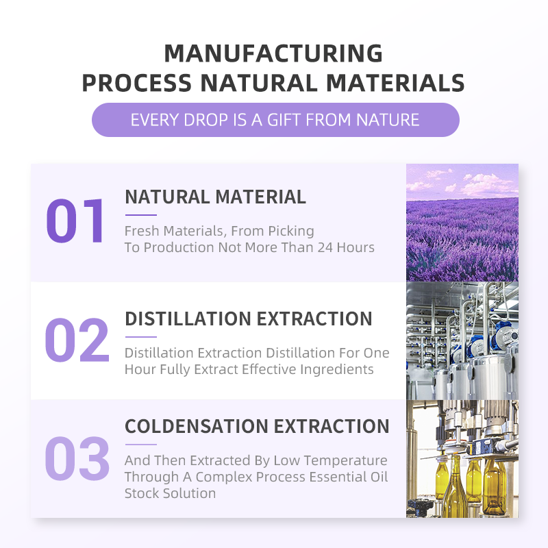 OEM Lavender Essential Oil – 100% Natural Steam Distilled | Private Label for Sleep Support, Burn Relief & Calming Skincare - Image 5
