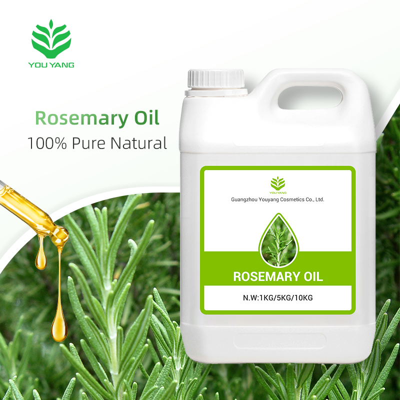 OEM Rosemary Essential Oil – 100% Natural Steam Distilled | Private Label for Hair Growth, Memory Boost & Muscle Relief - Image 2