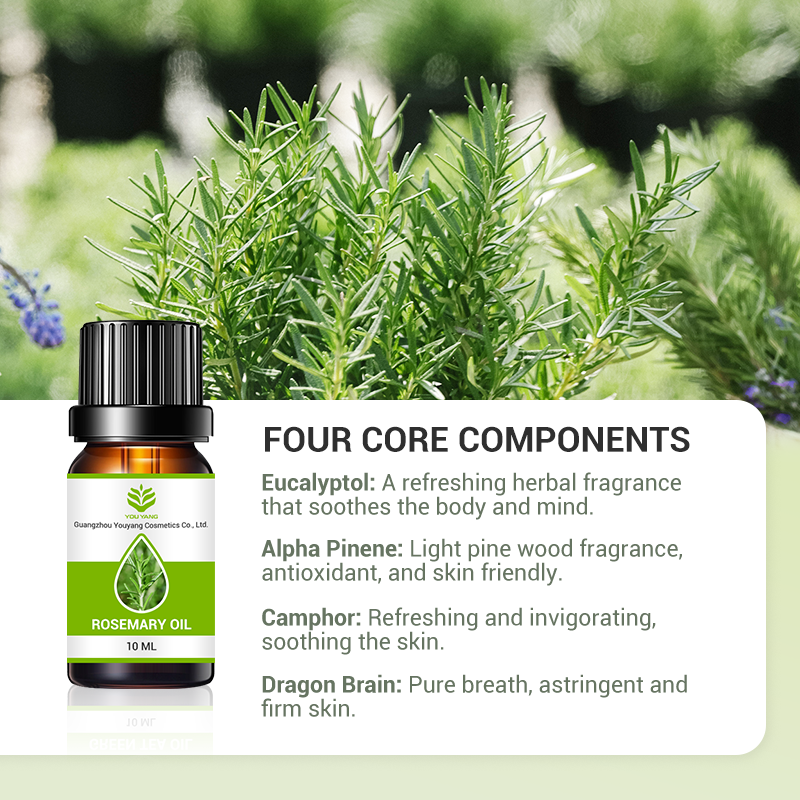 OEM Rosemary Essential Oil – 100% Natural Steam Distilled | Private Label for Hair Growth, Memory Boost & Muscle Relief - Image 4