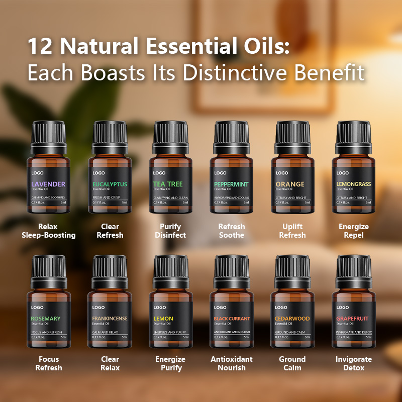 OEM 12 Aromatherapy Essential Oil Gift Set – 12x10ml Premium Blends for Sleep, Focus, Immunity & Home | Private Label Complete Starter Kit - Image 4