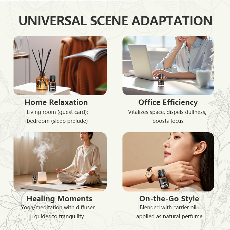 OEM 12 Aromatherapy Essential Oil Gift Set – 12x10ml Premium Blends for Sleep, Focus, Immunity & Home | Private Label Complete Starter Kit - Image 6